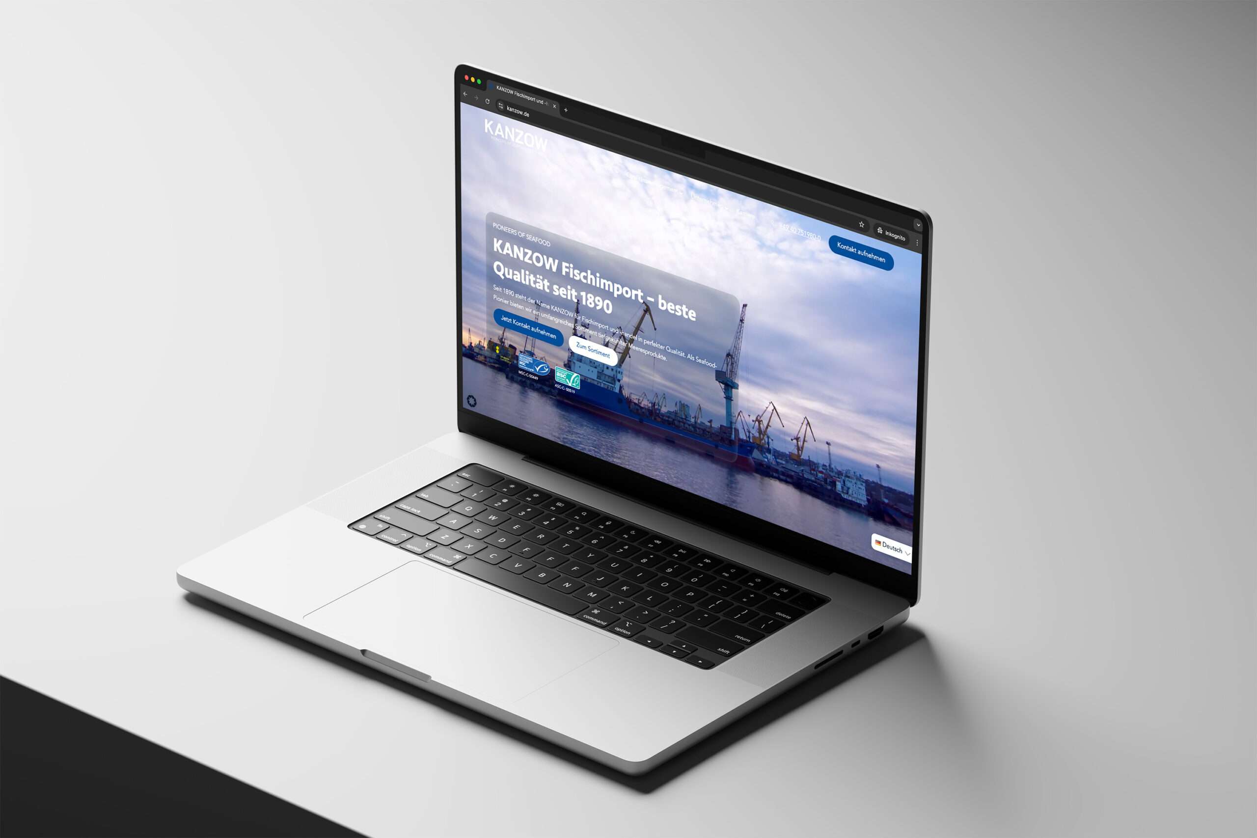 Professionelle WordPress-Website erstellen lassen.