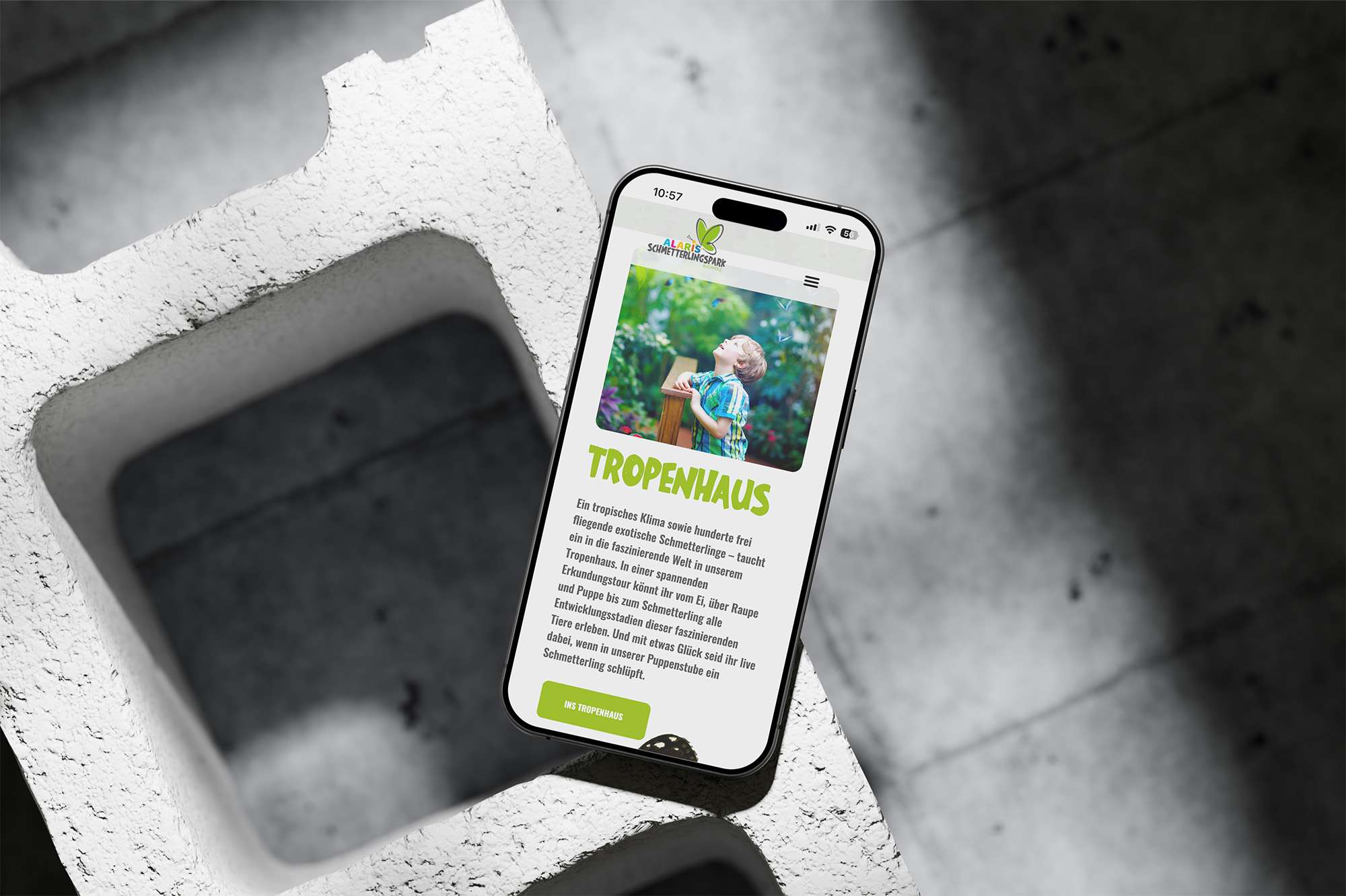 ALARIS Schmetterlingspark-Website: Responsive, benutzerfreundliches und modernes Webdesign.